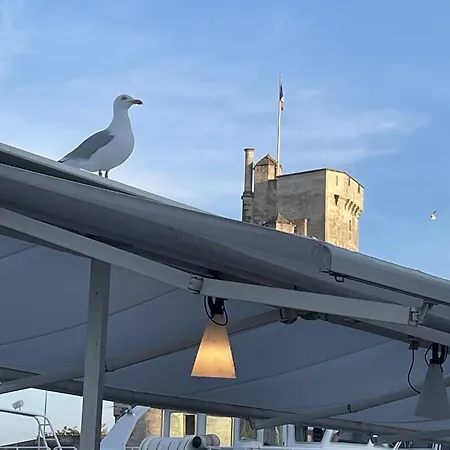 T3 Duplex Vue Aytré