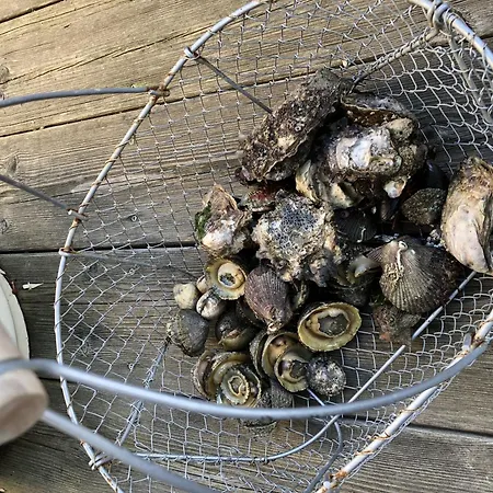 Lägenhet T3 Duplex Vue Aytré